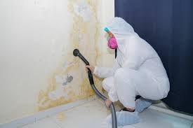 Biohazard Mold Removal in East Palatka, FL